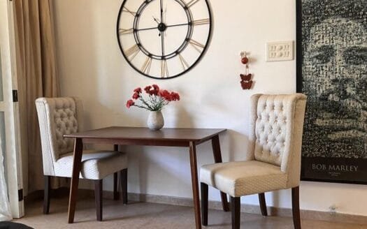 Fully Furnished 2 BHK Apartment in Siolim | Acron Villa Eva