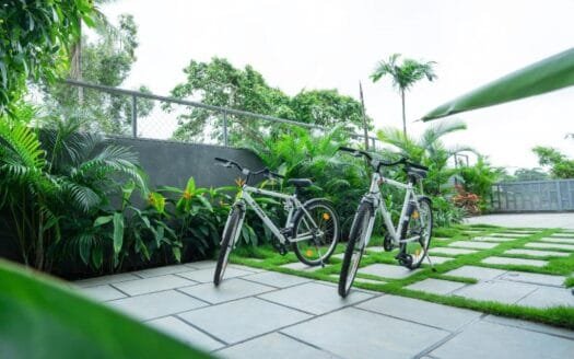 Luxurious 1 BHK Fully Furnished Flat in Saligao | The Calissa
